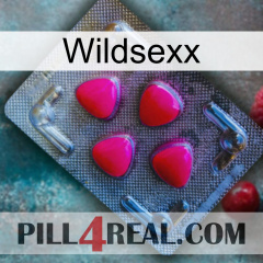 Wildsexx 13